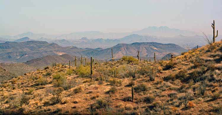 off-road trail